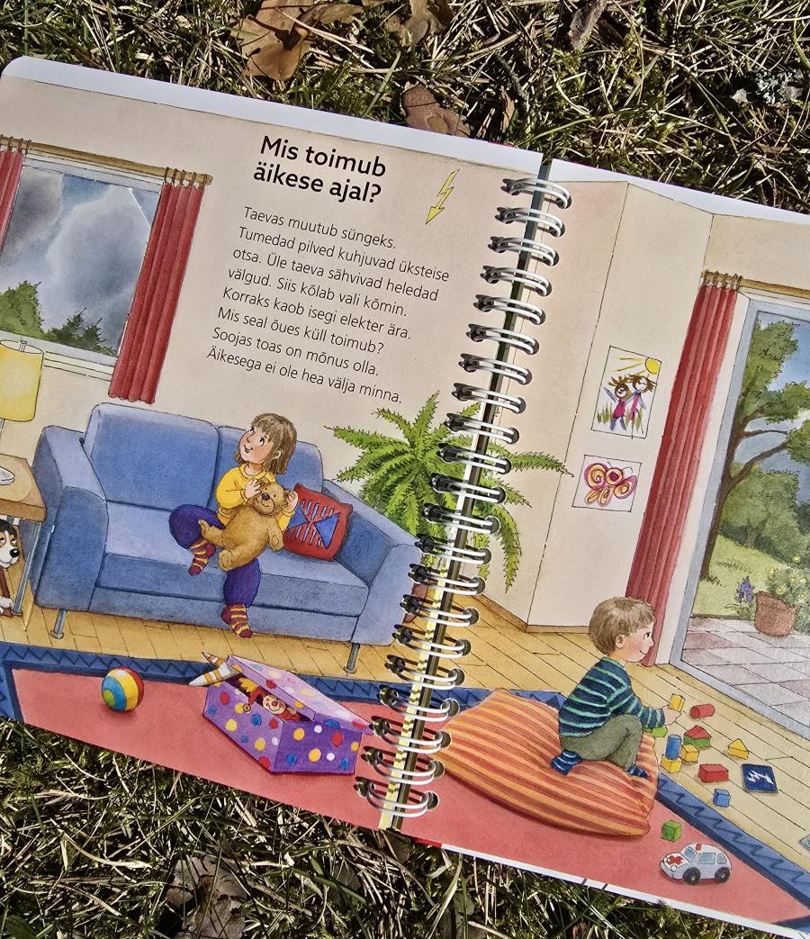 Aga miks? Päike, tuul ja vihm - klappidega raamat - Image 4