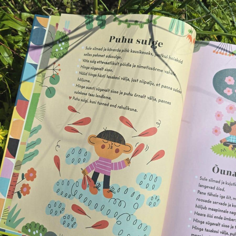 Rahulik meel - Image 2