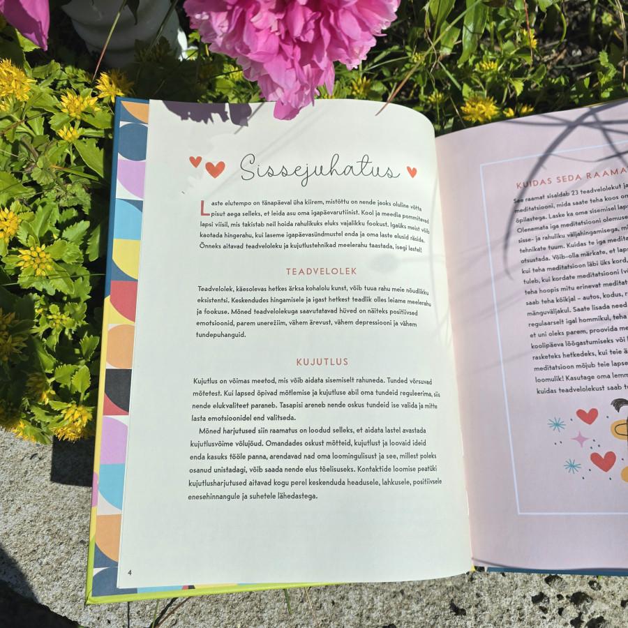 Rahulik meel - Image 6