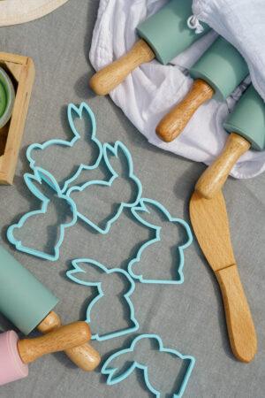 Alternative view of MICI vormid - Jänes