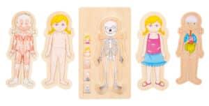 Alternative view of Small Foot kihiline pusle - Anatoomiatüdruk