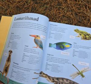 Alternative view of Loomaentsüklopeedia